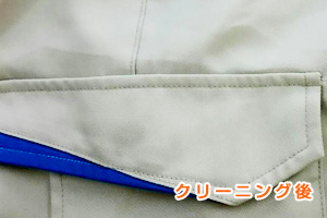 ��ƒ��̃Y�{����