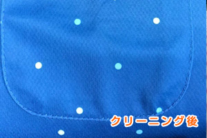 �|�����C�V���c�̃C���N���݌�